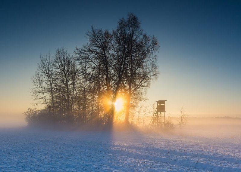 Raised hidephoto preview