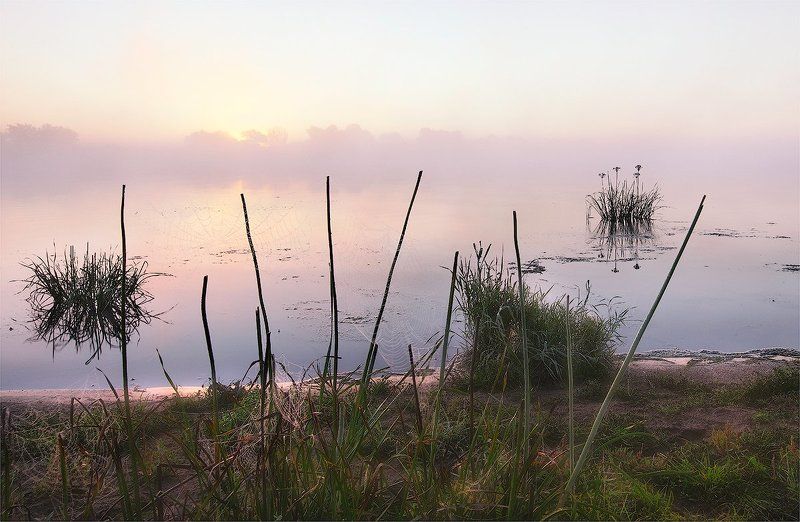 сетьphoto preview