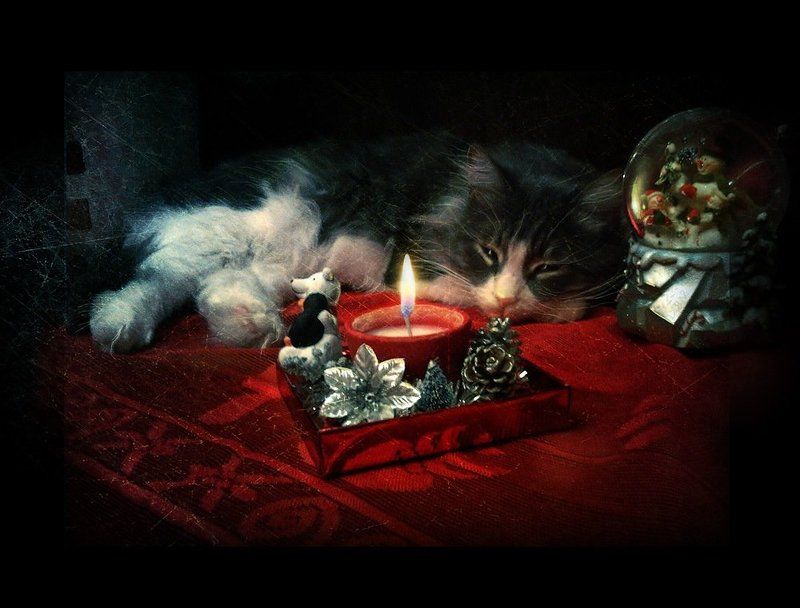 в ожиданииphoto preview