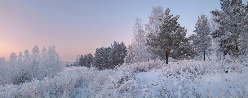Вечер, Зима, Лес Вечер на границе лесаphoto preview