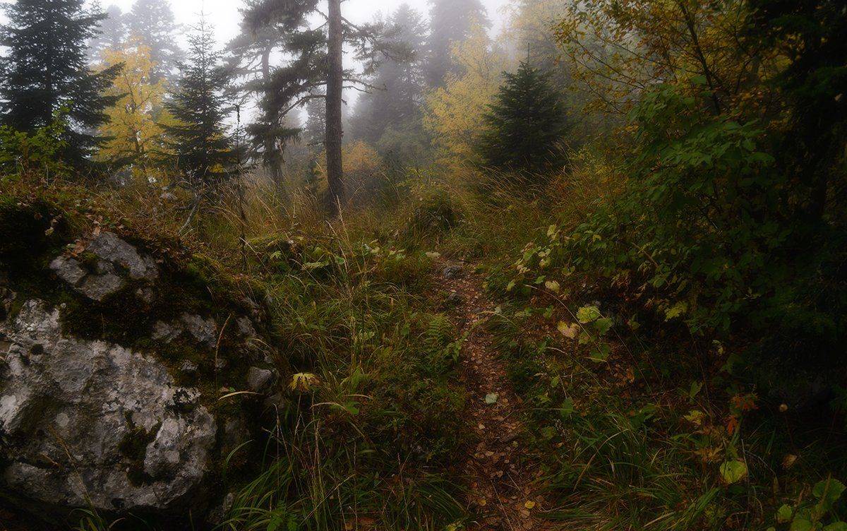 В тумане. Автор: Alexander Plekhanov , Alexander Plekhanov