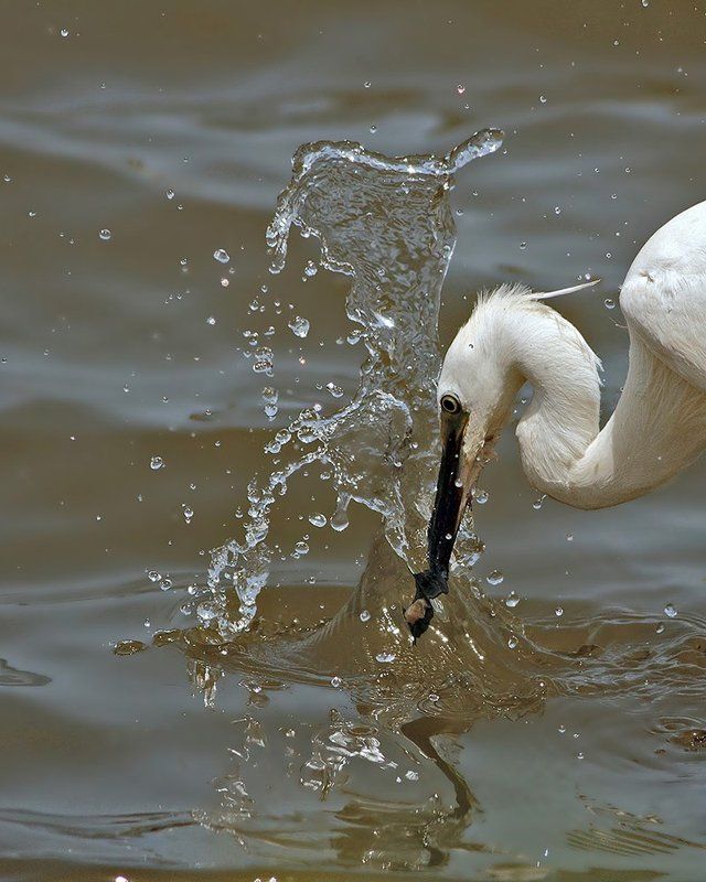 Попалсяphoto preview