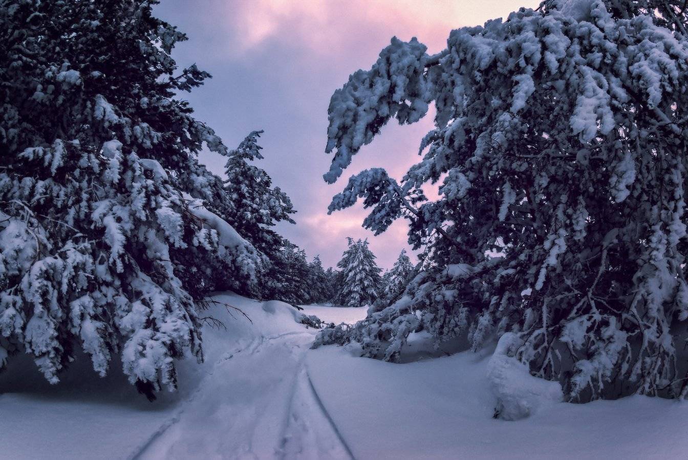 , Игорь Мелекесцев