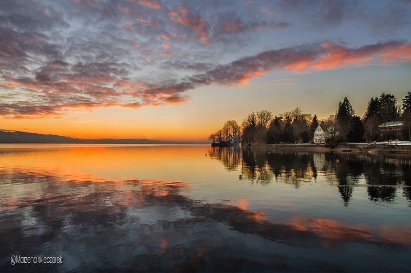 Today...photo preview