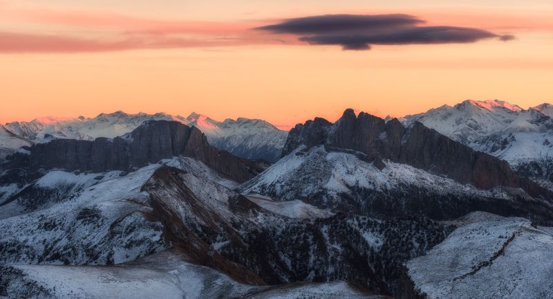 Два друга !photo preview