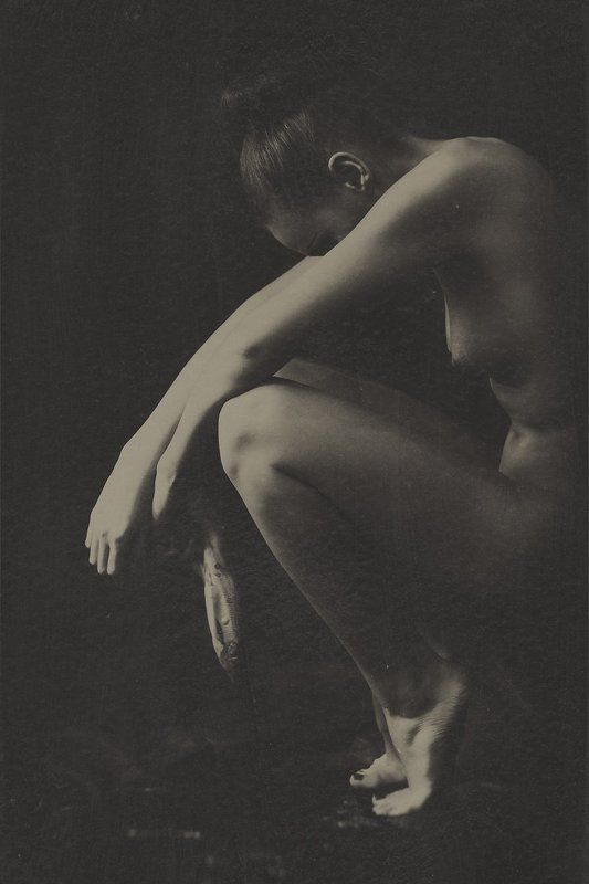 dead fishphoto preview