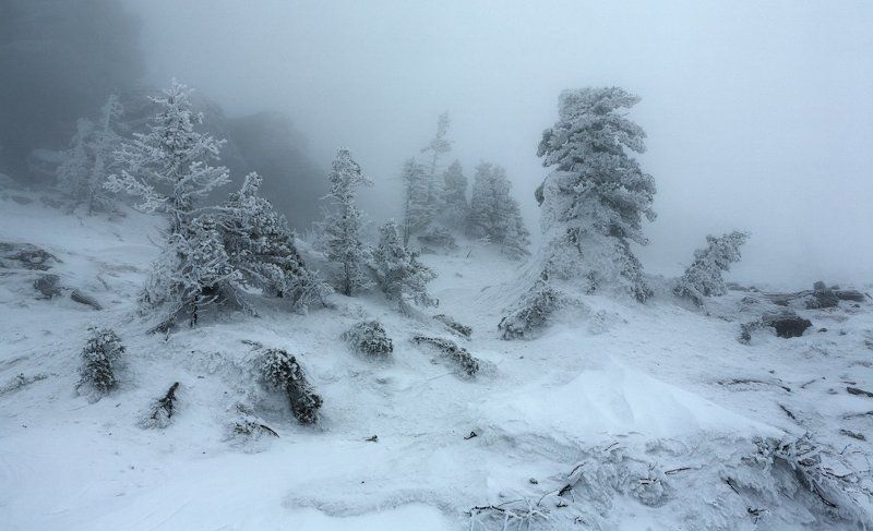 Белая мглаphoto preview