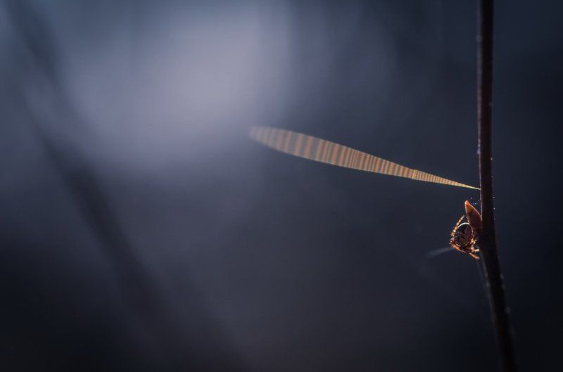 Послания другим мирамphoto preview