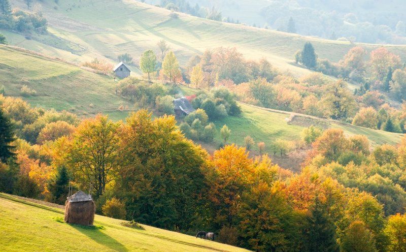 Вода, Горы, Дорога, Карпаты, Лес, Небо, Осень, Природа, Река, Туман Карпатские зарисовкиphoto preview