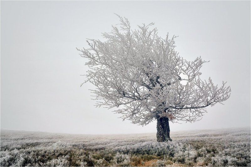 На краю мира фото превью