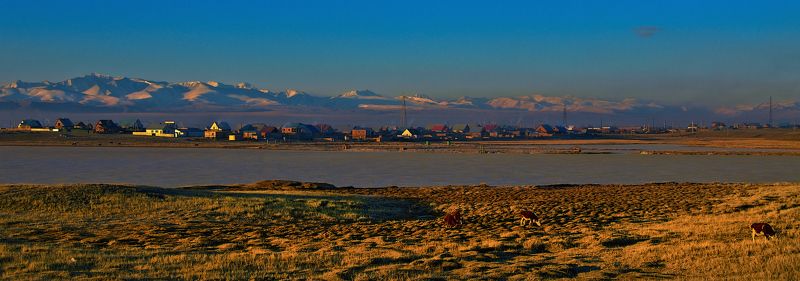 Central Asia region, Daybreak, Pastoral, Sunrise, Winter, Деревня, Жёлтый, Зима, Кош-Агач, Пастораль, Рассвет, Чуйская степь Январским утром...photo preview
