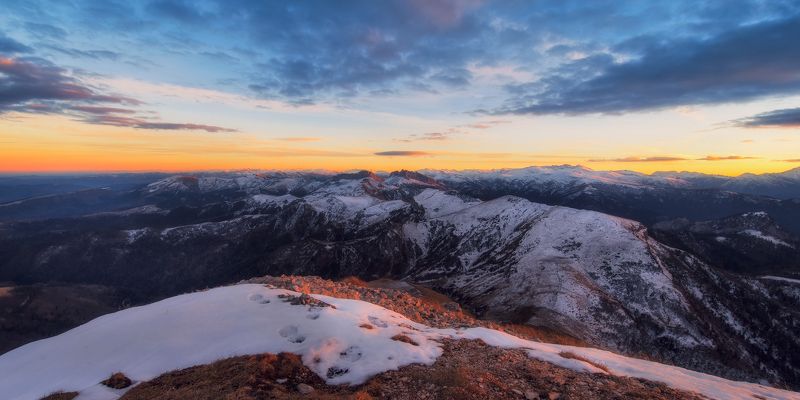 Он улетел , но обещал вернуться !photo preview