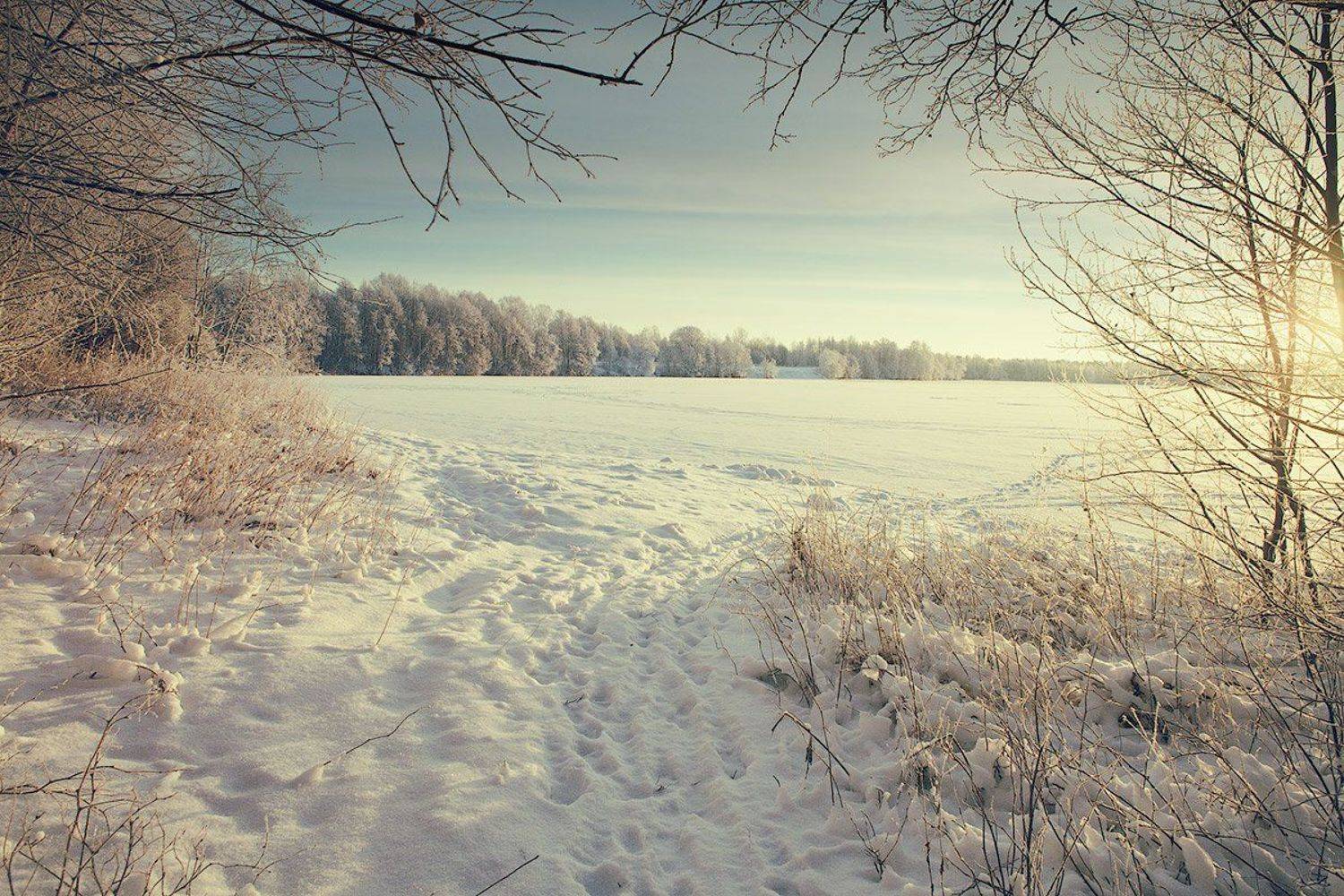 Dyadyavasya, Зима, Лес, Лёд, Мороз, Озеро, Пейзаж, Россия, След, Снег, Тропинка, Утро, Дмитрий Шамин