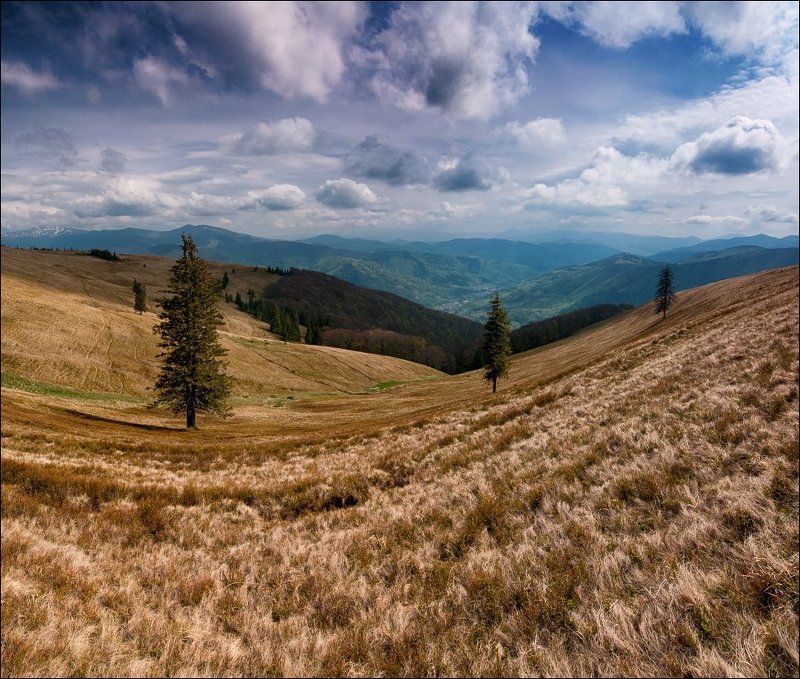 І І Іphoto preview