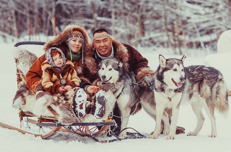 Кочевникиphoto preview