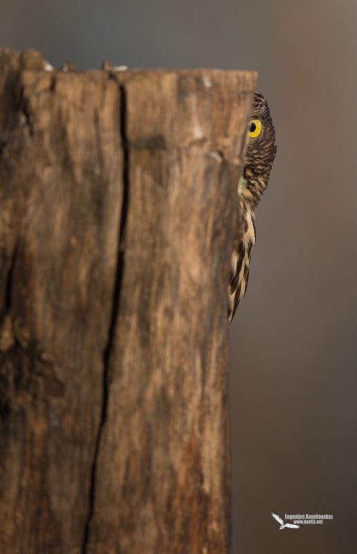 Остарожность в первую очередьphoto preview