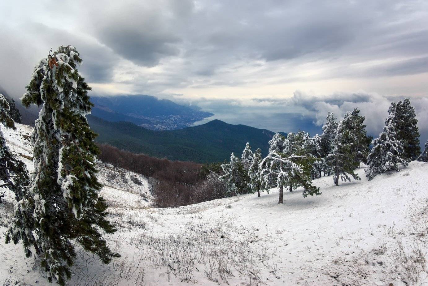 Зимой на Ай-Петри. Автор: Игорь Мелекесцев , Игорь Мелекесцев