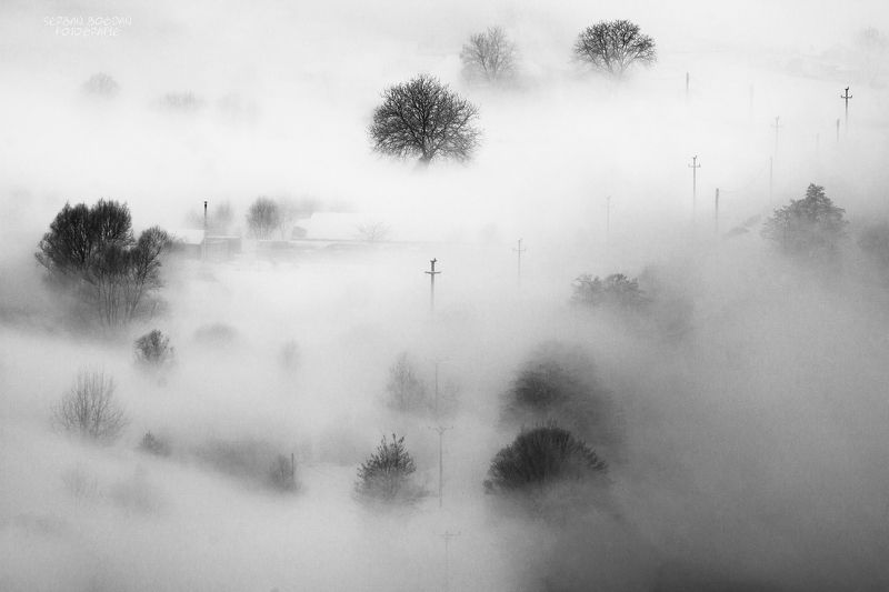 Little toys (2)photo preview