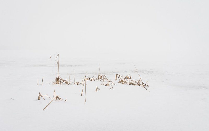 Зима, Лед, Природа, Снег, Туман, Хокку, Холод, Чб, Черно-белое, Япония Хоккуphoto preview