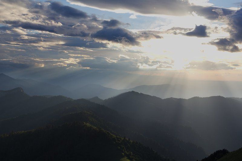 Последние лучи уходящего дняphoto preview