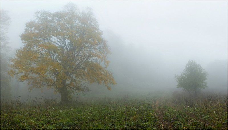 Осень ***photo preview