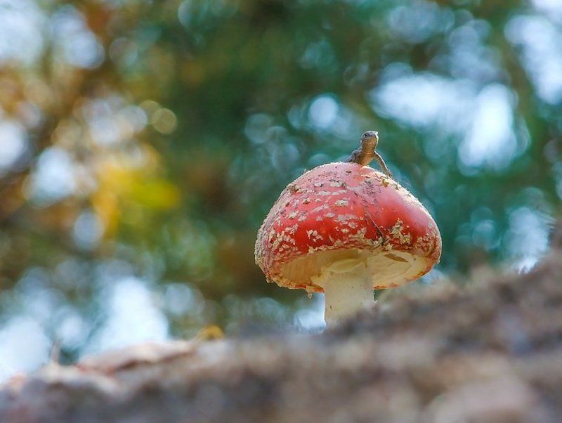 Этот мой...photo preview