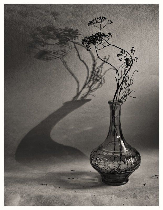 Тениphoto preview