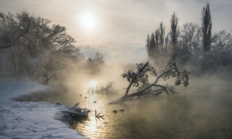 Однажды утром или на прогулку под присмотромphoto preview
