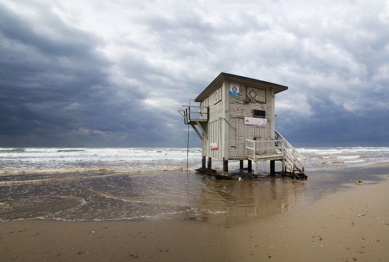 Indifferencephoto preview