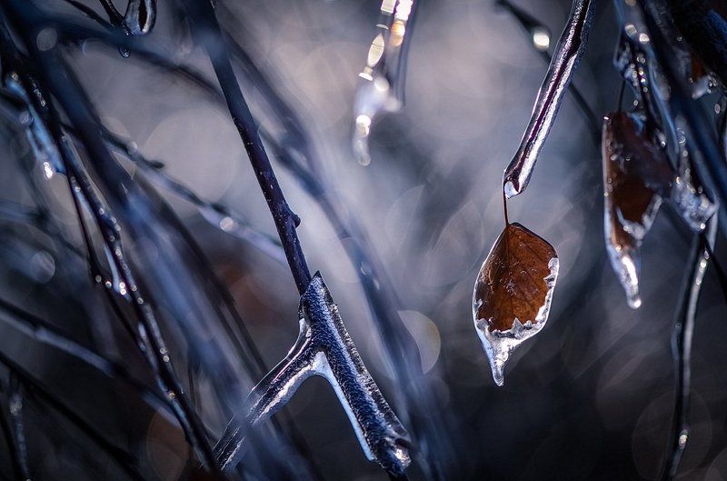 Ледниковый периодphoto preview