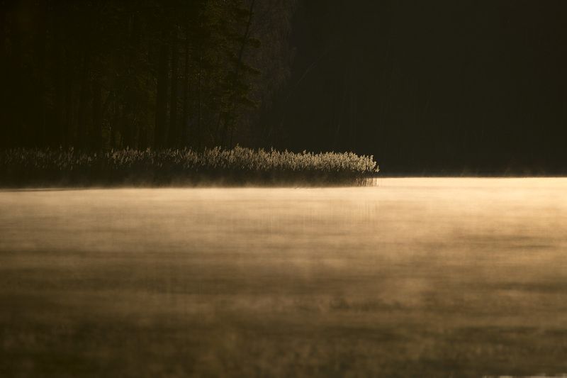 Таинственное утроphoto preview