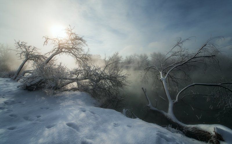 Январское утроphoto preview