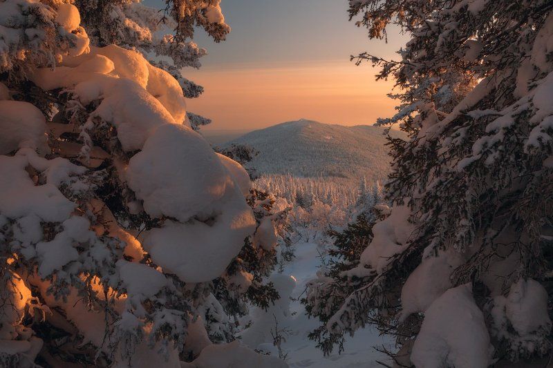 Окно в сказкуphoto preview