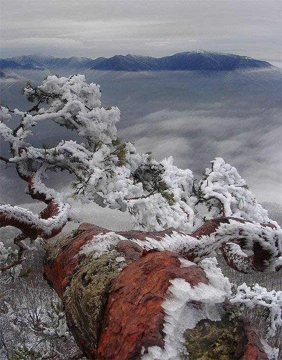 , Ловиков Михаил