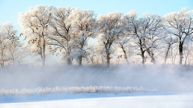 我的四季风光photo preview