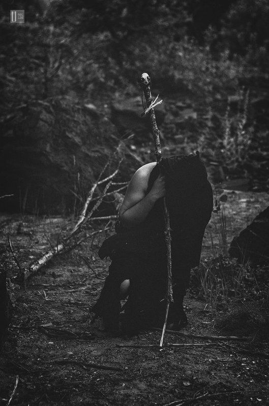 жрец 33 шага к Безумиюphoto preview