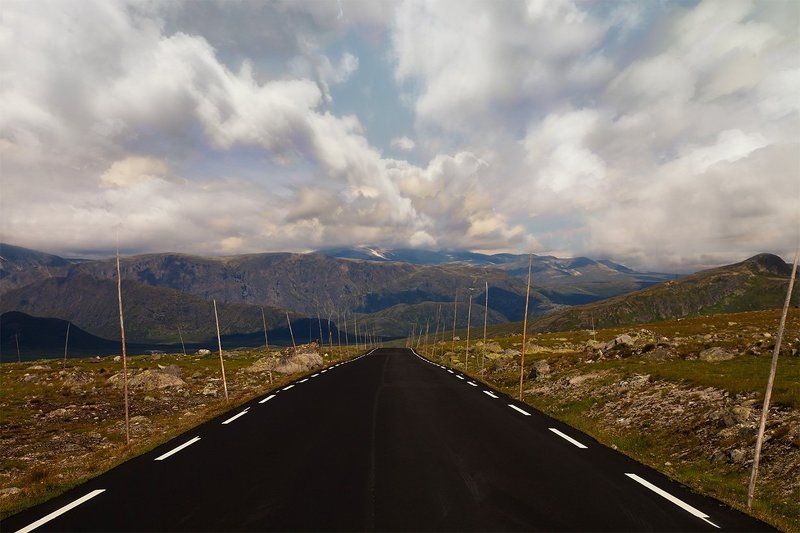 дорогаphoto preview