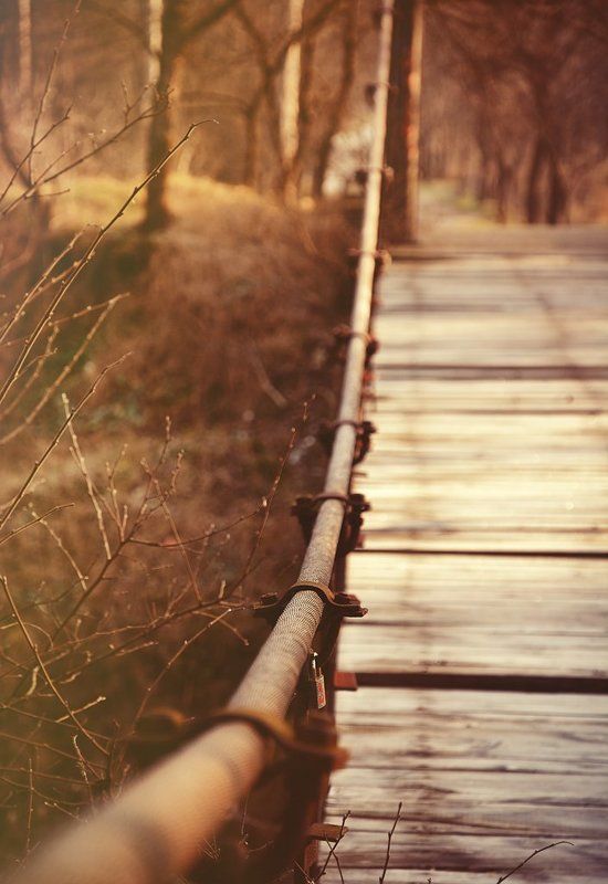 Mementophoto preview