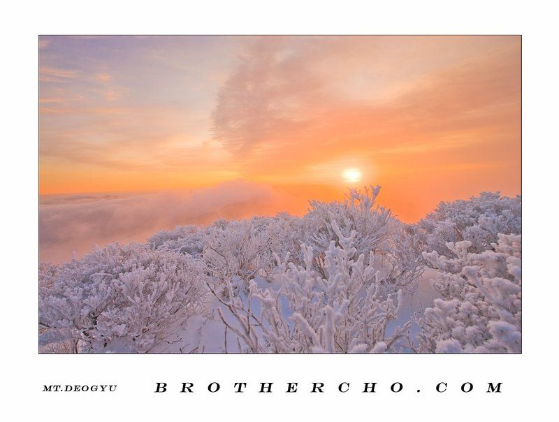 CLOUDSEA, HOARFROST, MT.DEOGYU, SUNRISE, WINTER WINTER GARDENphoto preview