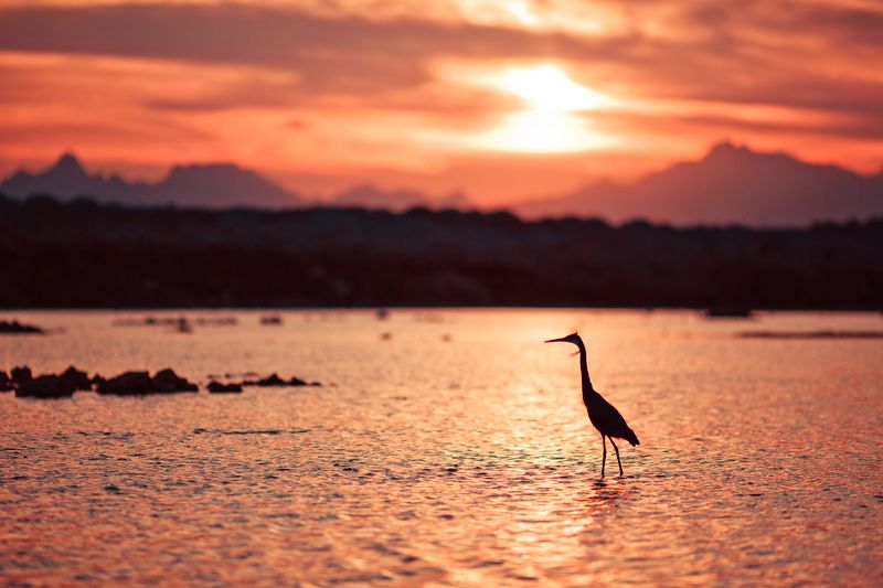 Я вижу, как закат стёкла оконные плавит..photo preview