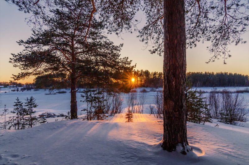 Деревья, Закат, Зима, Нижегородская область, Пейзаж, Природа, Река Края родныеphoto preview