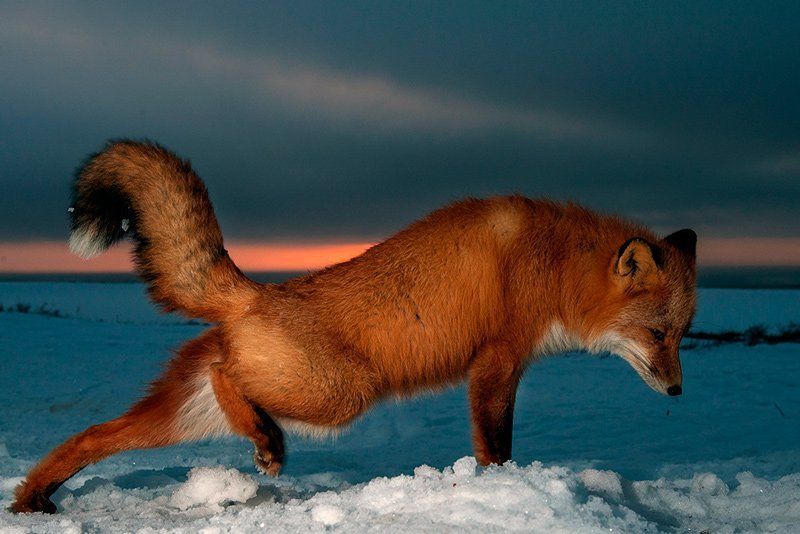 Проснуласьphoto preview