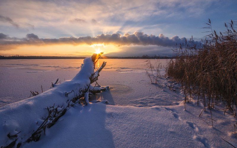 Зима, Озеро, Подмосковье, Снег, Солнце, Утро, Шатура Навстречу солнцуphoto preview