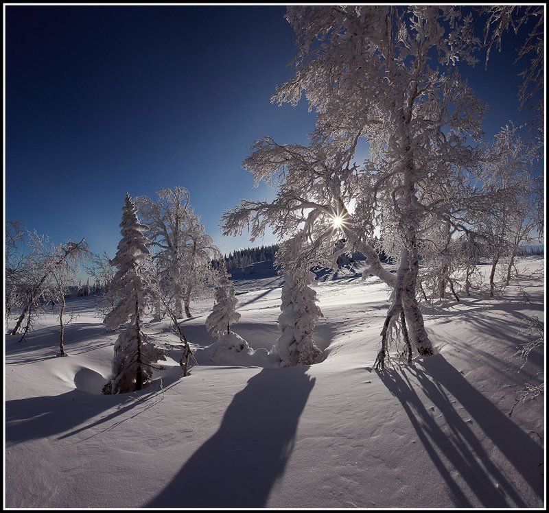 Солнечная ...photo preview