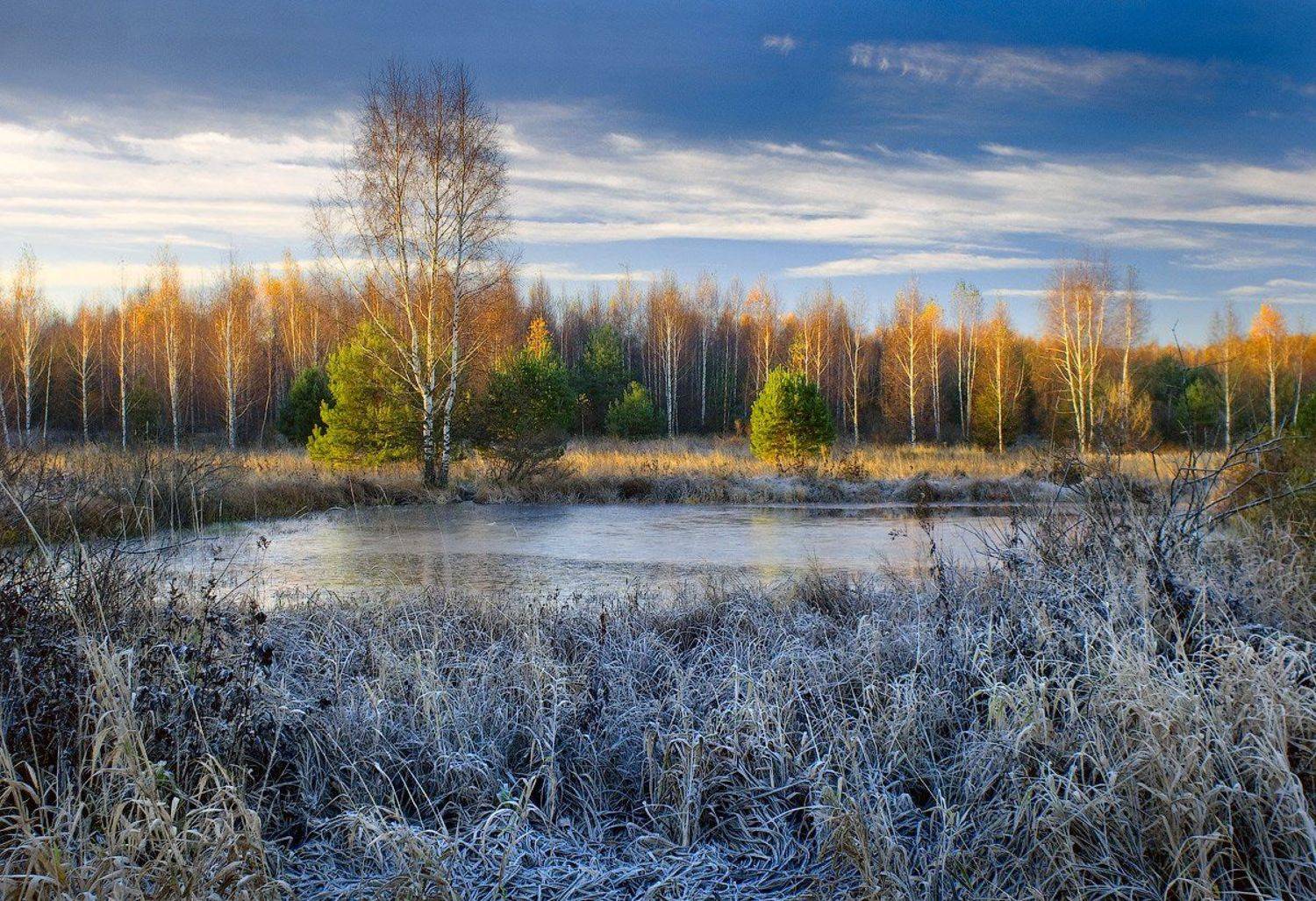 Теплые лучи холодного утра. Автор: Дмитрий Алексеев , Дмитрий Алексеев