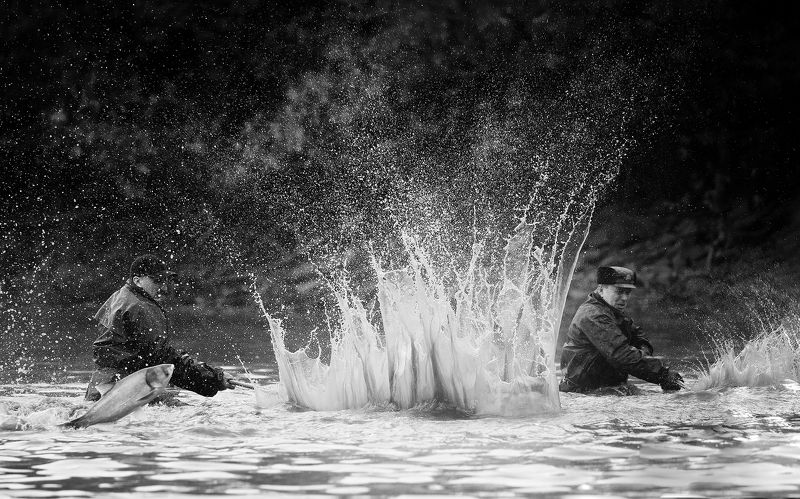 From catching fishphoto preview