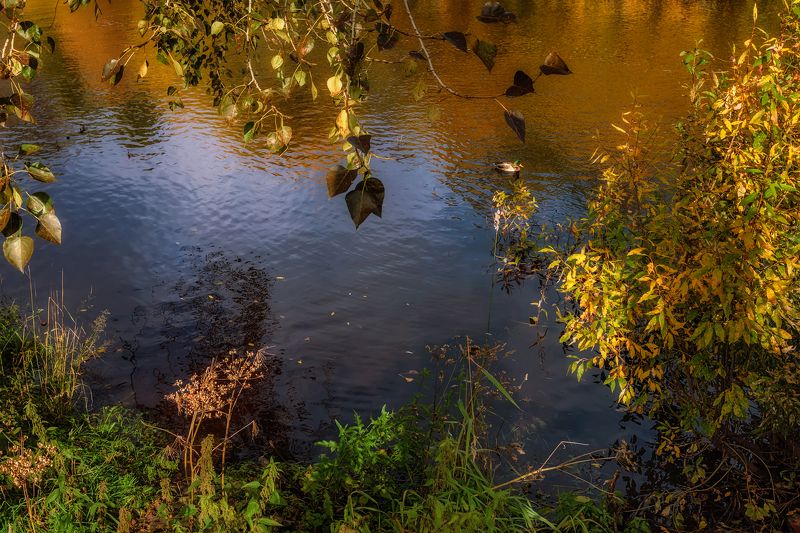 На речке Соломбалкеphoto preview