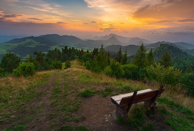 bench, carpathians, clouds, forest, karpaty, krajobraz, landscape, mountains, mountainscape, nikon, pieniny, plants, poland, polska, sky, slovakia, slovensko, sunlight, sunset, tamron, trees, trzykorony, holica, wysoki wierch, płaśnie Secret Observerphoto preview
