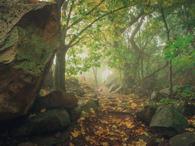 туман, кмв, змейка *****photo preview