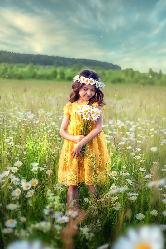 Ромашкиphoto preview